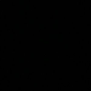 Meet your Posher, Ebony